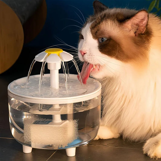 Protege los Riñones de tu gato: Agua Filtrada y Fresca las 24h
