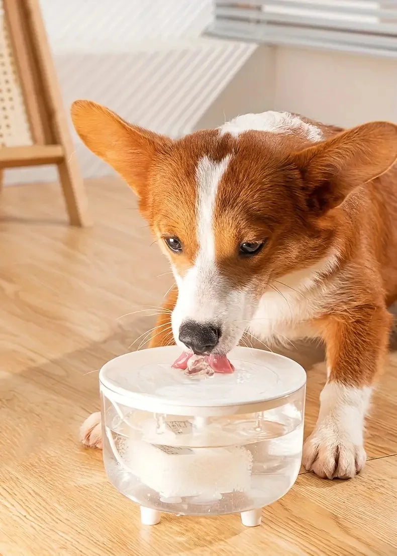 Protege los Riñones de tu gato: Agua Filtrada y Fresca las 24h