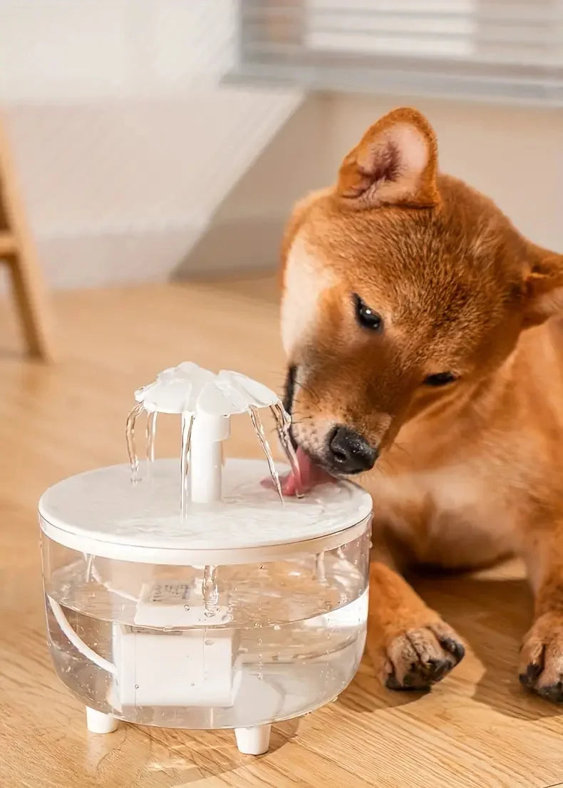 Protege los Riñones de tu gato: Agua Filtrada y Fresca las 24h
